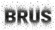 Brus